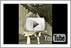 Youtube Video: The Roaring Twenties - Black Bottom, 1926