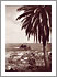 GARACHICO: FELSEN VON GARACHICO, Foto: BENÍTEZ TUGORES, ADALBERTO, Entstehungsjahr: 1925-1927, © FEDAC/CABILDO DE GRAN CANARIA